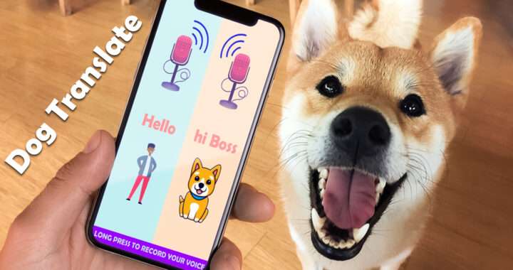 app that can translate dog
