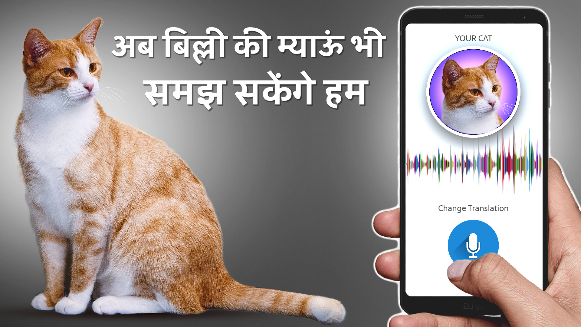 Cat Translator App