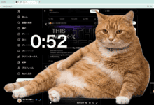 cat gatekeeper extension Cat Stops Your Social Media Addiction 😱 | Must Try Chrome Extension 2026