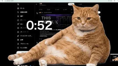 cat gatekeeper extension Cat Stops Your Social Media Addiction 😱 | Must Try Chrome Extension 2026