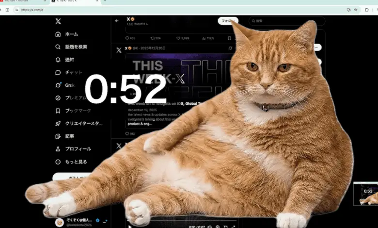 cat gatekeeper extension Cat Stops Your Social Media Addiction 😱 | Must Try Chrome Extension 2026
